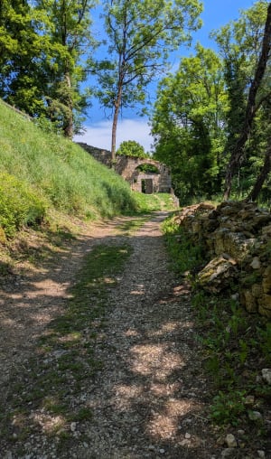 Van het kasteel tot het fort van Montfaucon en een geschiedenisles - Montfaucon - 4