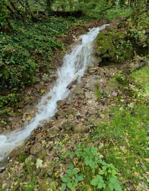 Belle balade autour de Flavigny - Flavigny-sur-Ozerain - 11