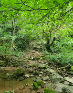 Randonnée autour du Chassezac - Gravières - 6