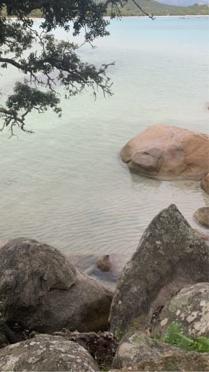 Strand van Mount Santa Giulia - Porto Vecchio - 100