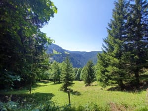 Lac du Gui et Mont Rond depuis les Frasses - Notre-Dame-de-Bellecombe - 18