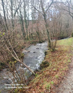 Promenade aux bords de l’Auzette - Panazol - 15