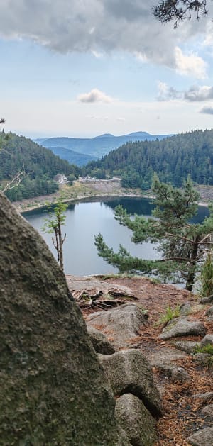 Petit tour du Lac Noir et visite électrisante - Pairis - 5