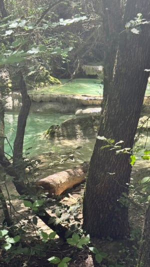 Sources de l'Huveaune - Nans-les-Pins - 28
