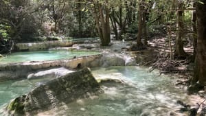 Sources de l'Huveaune - Nans-les-Pins - 29