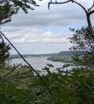 Marche nordique à Oudon et la Loire - Oudon - 10