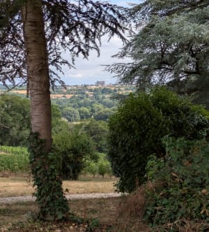 Marche nordique à Oudon et la Loire - Oudon - 11