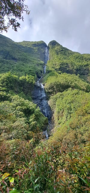 La cascade blanche - 31