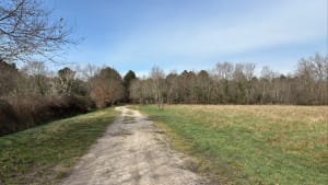 Dans les sous bois de Magudas - Saint-Médard-en-Jalles - 7