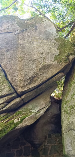 Promenade des gorges de franchard - Fontainebleau - 11