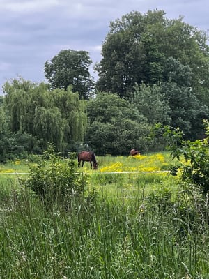 Boucle entre Andard et Saint Mathurin - Loire-Authion - 6