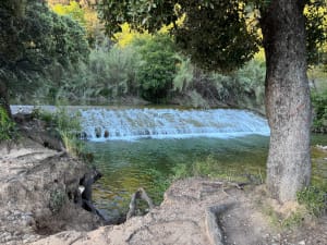 Van Draguignan naar Rebouillon, door de wijngaarden en de rivier - Draguignan - 3