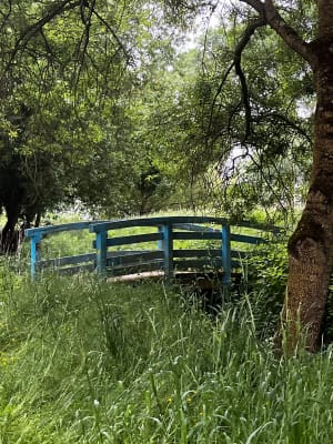 Boucle entre Andard et Saint Mathurin - Loire-Authion - 9
