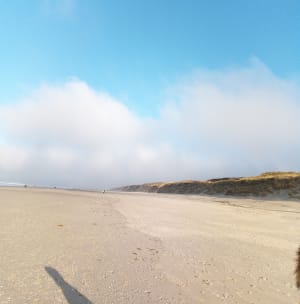 Forêt du Touquet et dunes de Mayville - Cucq - 3