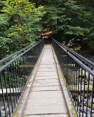 Randonnée à la Cascade du Pas de Cère - Vic-sur-Cère - 7
