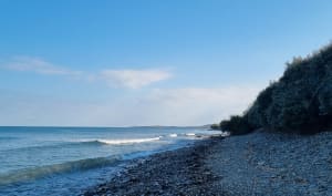 Les sentiers du Becquet - Cherbourg-en-Cotentin - 21