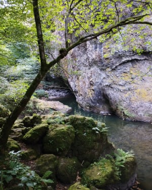Randonnée à la Cascade du Pas de Cère - Vic-sur-Cère - 11