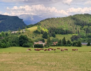 Petite boucle sur les auteurs de Saint Andeol - Saint-Andéol - 7
