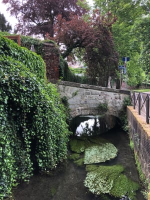 Balade le long du Robec - Rouen - 21