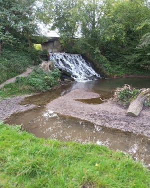 Cascade de Quélipont - Villers-Pol - 11