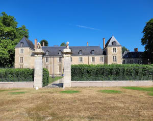 Bord de Loire et forêt ! - Saint-Denis-de-l'Hôtel - 10