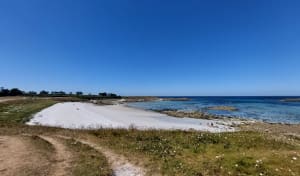 Fabuleuse Île de Batz et exploration côtière - Île de Batz,Roscoff - 3