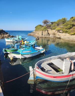 Du Brusc au Grand Gaou et la Pointe Salva - Six-Fours-les-Plages - 7