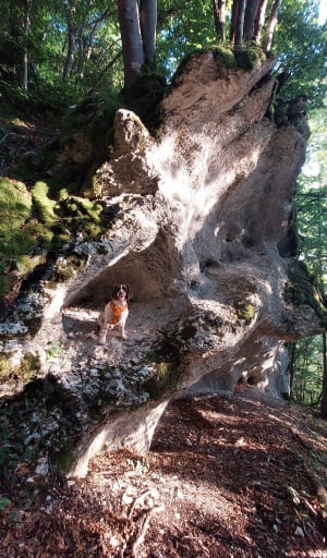 Belvédère des voies de l'Epine et son antique voie romaine - Aiguebelette-le-Lac - 19