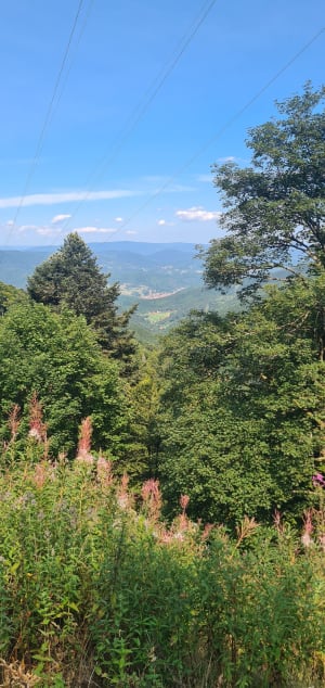 Col des Bagenelles et Faurupt - Christian - 6