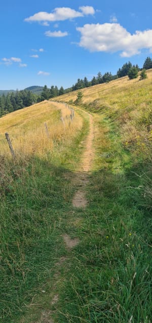 Col des Bagenelles et Faurupt - Christian - 7
