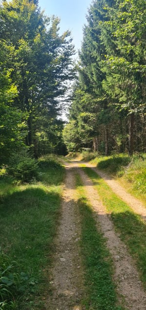 Col des Bagenelles et Faurupt - Christian - 10