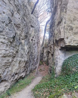 Crevasses et falaises de Chantemerle les grignans - Chantemerle-lès-Grignan - 8