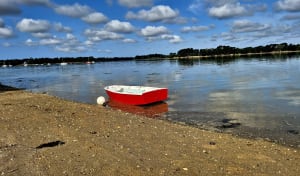De Sainte-Marine à l'Ile-Tudy et être charmé en toute saison - Sainte-Marine - 2