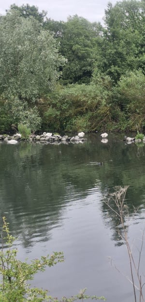 Le terril de Noyelles sous Lens - Lens - 8