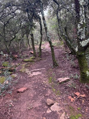 Camp César par le Plateau de Lacau - Bagnols-sur-Cèze - 3