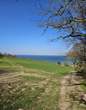 Balade Hautot Varengeville Pourville - Hautot-sur-Mer - 11