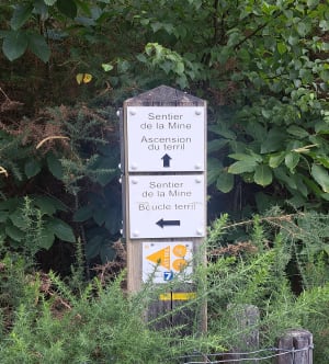 Sentier de la mine d'Abbaretz - Abbaretz - 8
