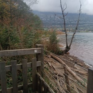 Sentier du Bout du lac d'Annecy depuis la plage - MARION - 17