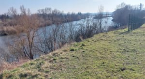 Entre la LOIRE et le canal de ROANNE. - Roanne - 16