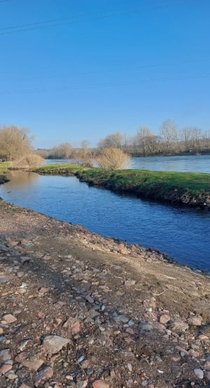 Entre la LOIRE et le canal de ROANNE. - Roanne - 17