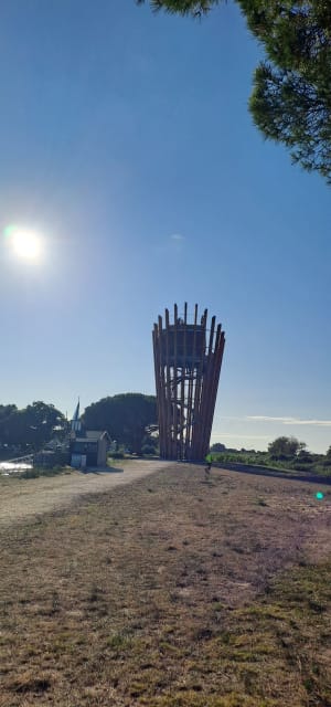 Au départ de la Mothe, le domaine de Fleury - Le Teich - 6