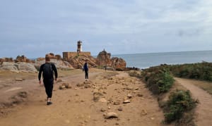 Rondleiding over het eiland Bréhat - Île-de-Bréhat - 8