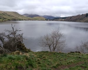Banne d'Ordanche et Lac de Guéry - Murat-le-Quaire - 14