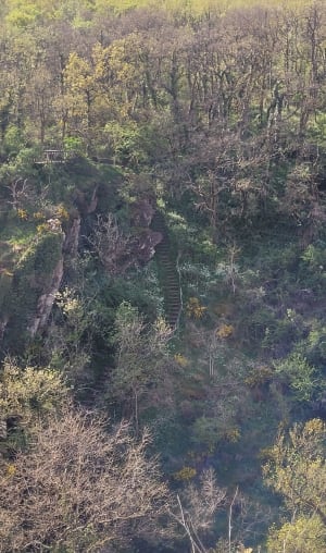 Sur les pas de Sainte-Radegonde - Florence - 16