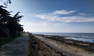 Promenade en bord d'océan à Loix - Loix - 7