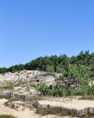 Balade sur le port et la corniche de Meschers-sur-Gironde - Meschers-sur-Gironde - 7