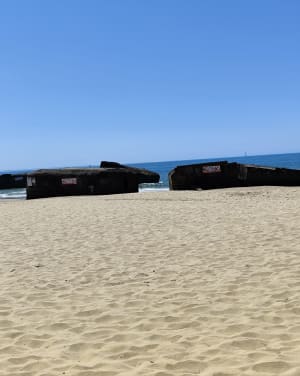Balade sur le port et la corniche de Meschers-sur-Gironde - Meschers-sur-Gironde - 8