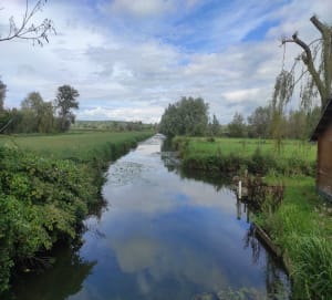 Marais du Warland et biotope au top à Houlle - Houlle - 7