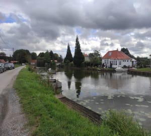 Marais du Warland et biotope au top à Houlle - Houlle - 8