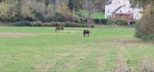 Balade autours d'Hardricourt - Meulan-en-Yvelines - 3